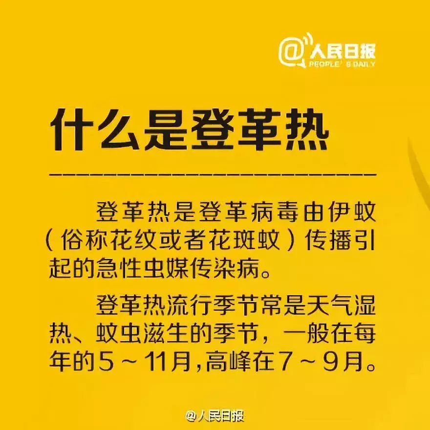 广东省挂号攻略，澳门专家解读挂号流程与注意事项