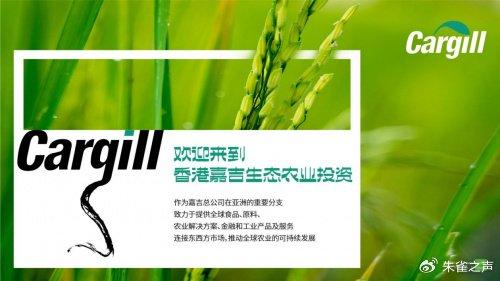 新闻 第334页