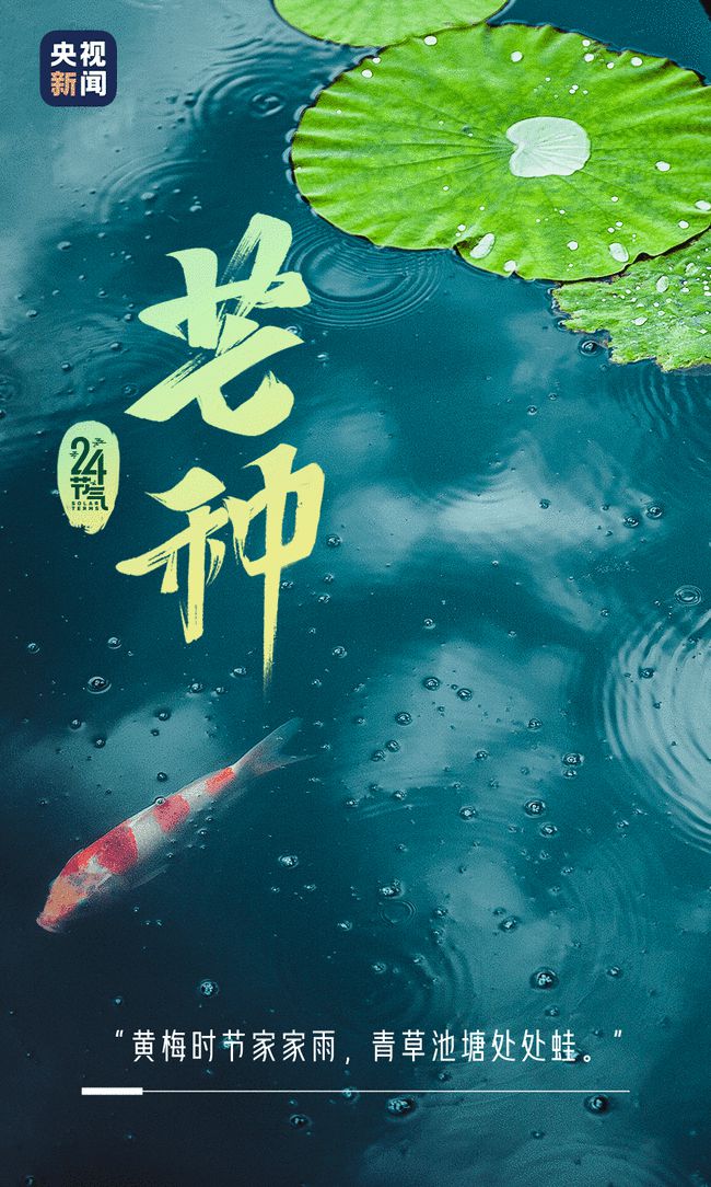 探究时间之谜，半个月究竟是多少天？