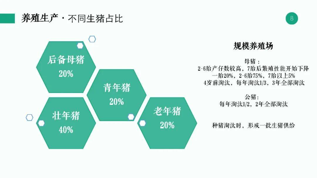 广东猪食品有限公司，深度解析其在澳门及广东省的农业产业链地位与贡献