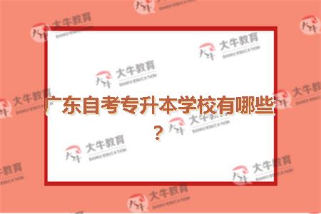 广东省专升本民办教育的深度探讨