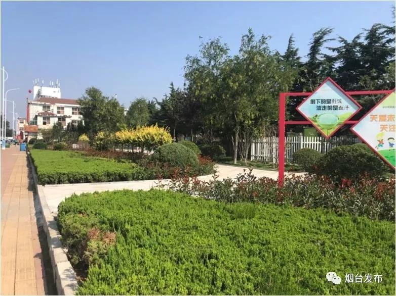 广东桐林生态有限公司，生态建设的先锋力量