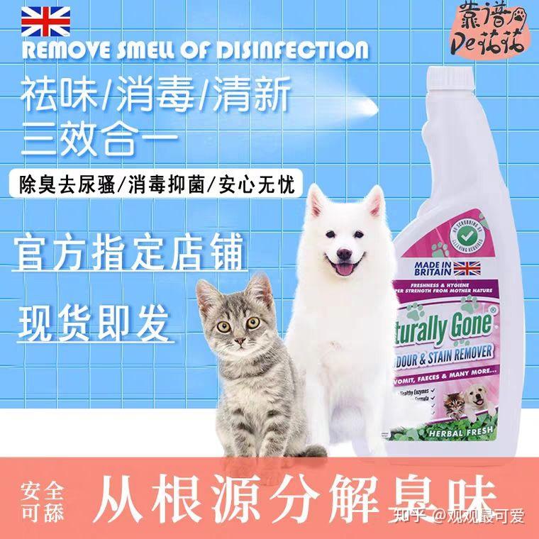 三个月小猫上床撒尿，原因、应对与训练之道